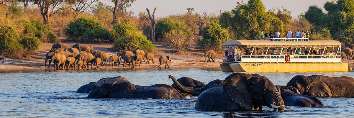 Explorer la nature sauvage de l'Afrique australe